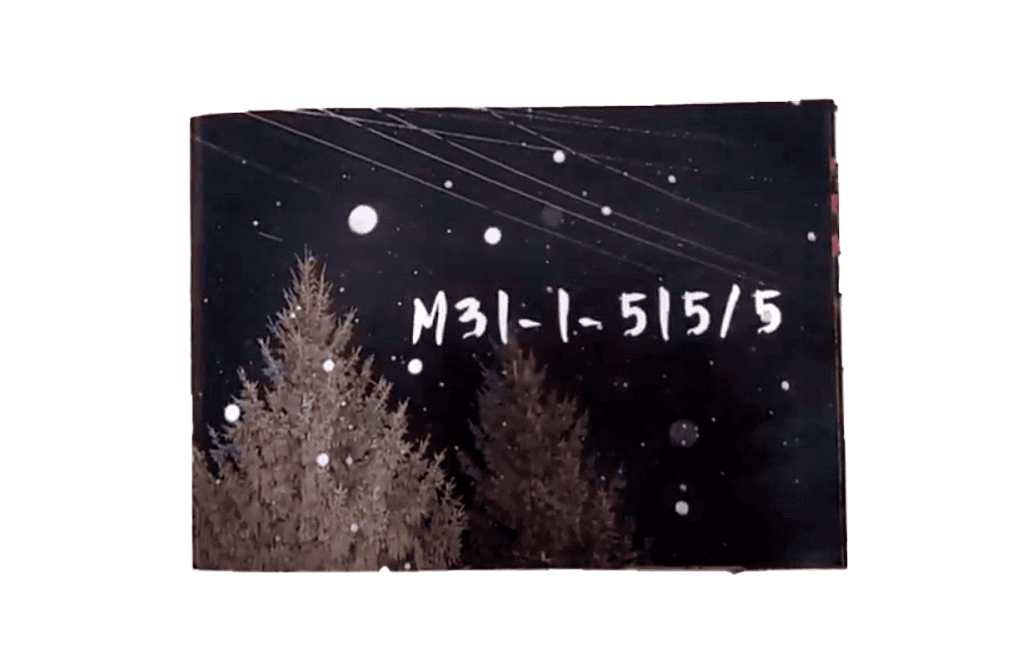 Екатерина Оленина, Наталья Шульгина - Зин М31-1-515/5, 2023